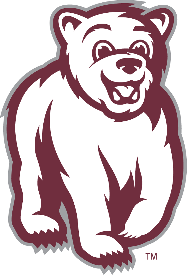 Montana Grizzlies 2010-Pres Mascot Logo v3 DIY iron on transfer (heat transfer)